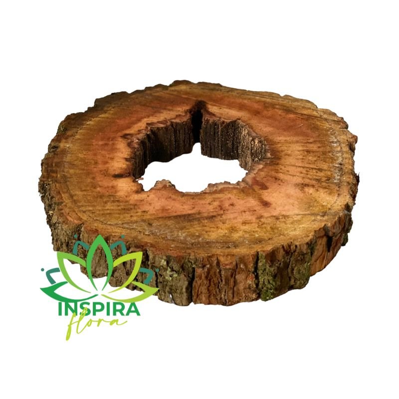 bolacha de madeira para sousplat