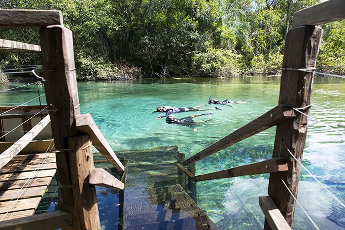 Flutuação em Bonito: Rio Sucuri vs. Aquário Natural - Qual Escolher?