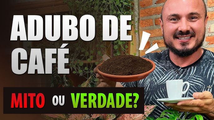 borra de café como adubo