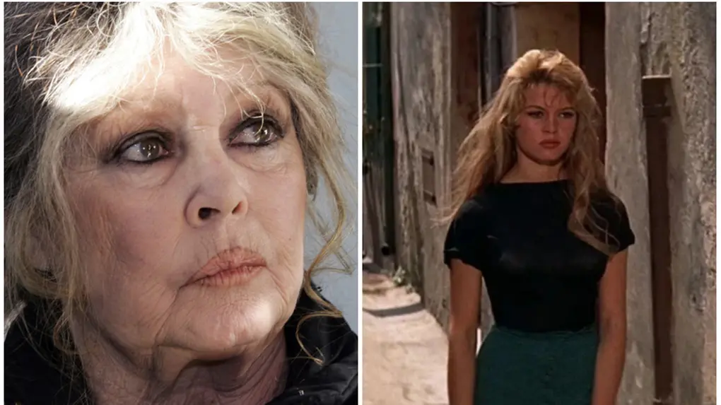 Volume Bardot