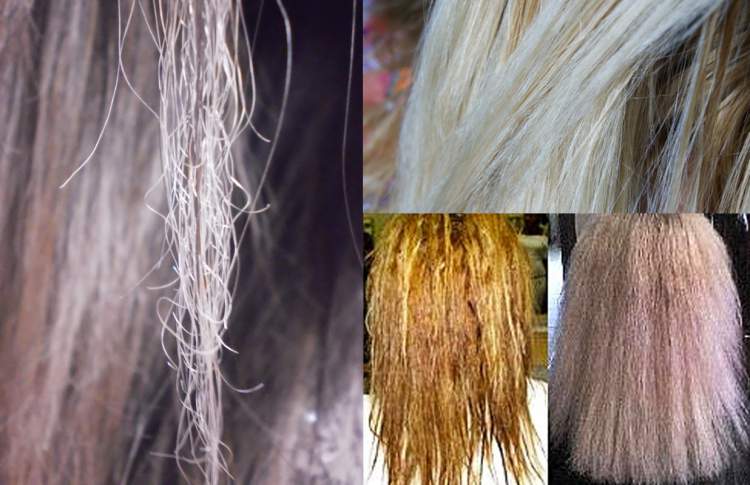 Guia Completo: Como Montar um Cronograma Capilar para Cabelos Elásticos