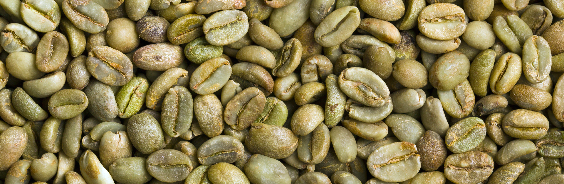 Pó ou Grão: Qual a Melhor Forma de Consumir Café Verde?