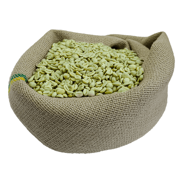 Café Verde: Guia Completo de Benefícios e Como Ele Pode Ajudar na Sua Dieta