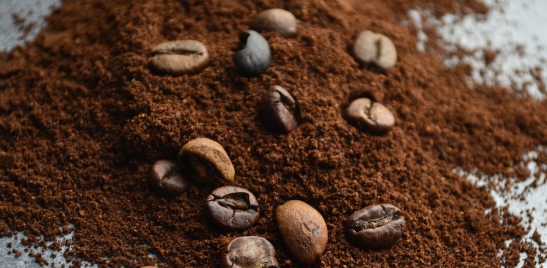 Como a Cafeína Afeta o Desempenho Físico e Cognitivo