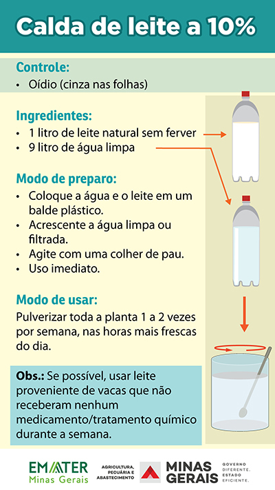 As Principais Doenças de Plantas Combatidas pela Calda Bordalesa