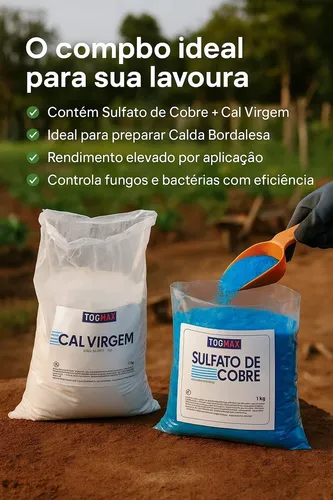 Dicas Essenciais para o Uso Correto da Calda Bordalesa em Seu Jardim