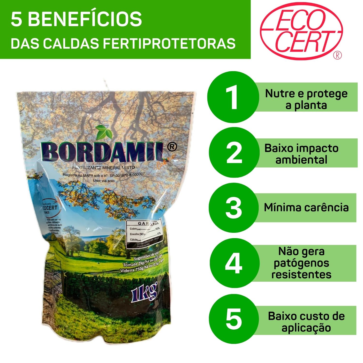 As Principais Doenças de Plantas Combatidas pela Calda Bordalesa