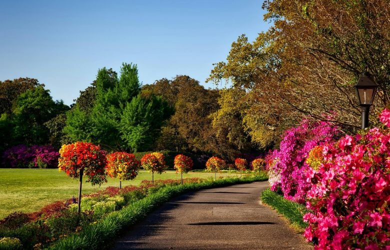 Como Escolher as Pedras Ideais para Seu Jardim