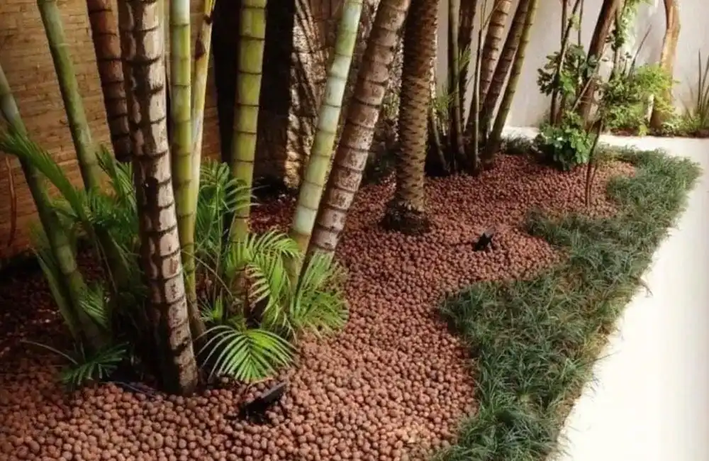 caminhos de jardim com pedras