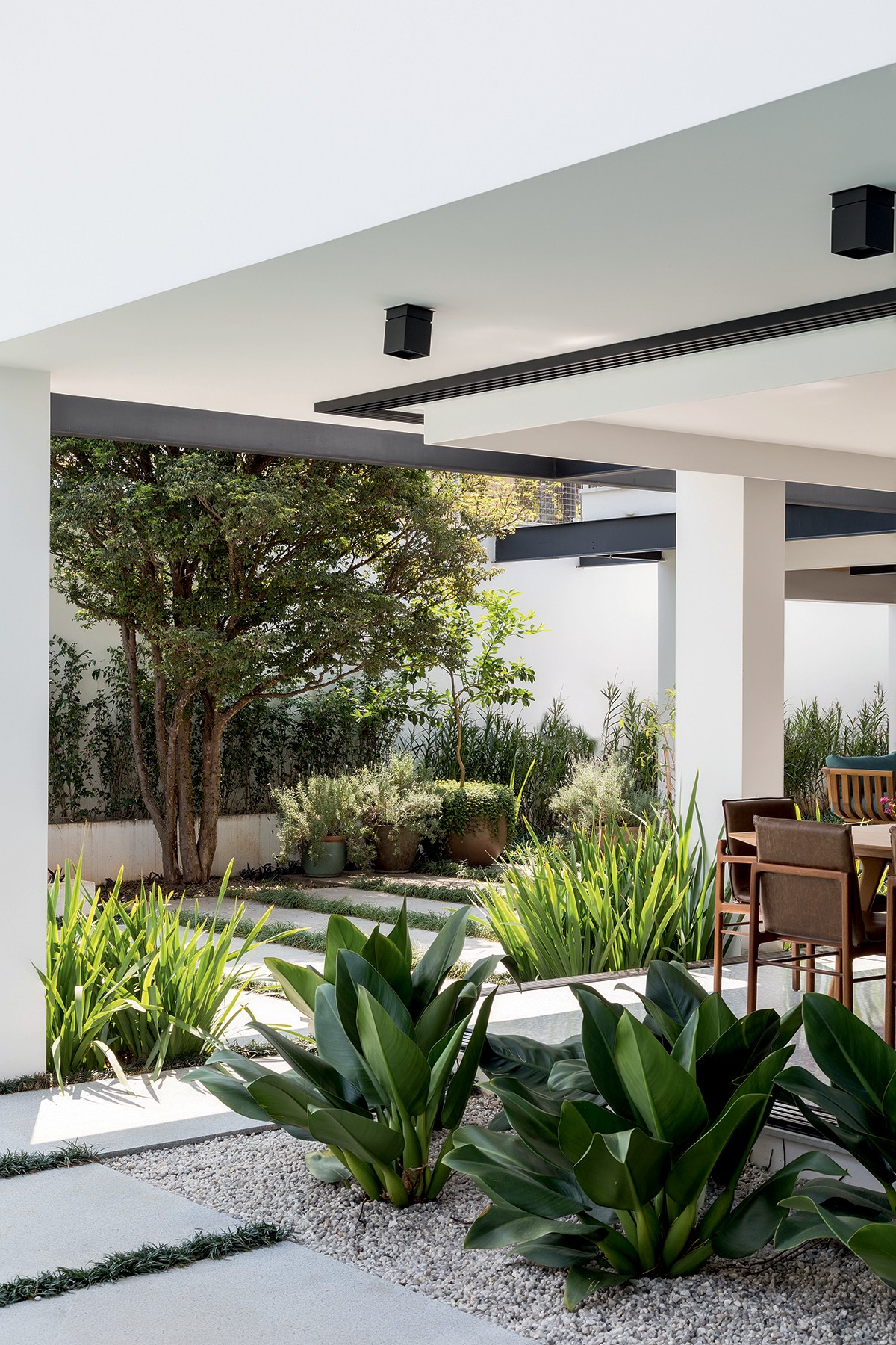 Manta de Bidim: O Segredo para um Jardim Sem Ervas Daninhas