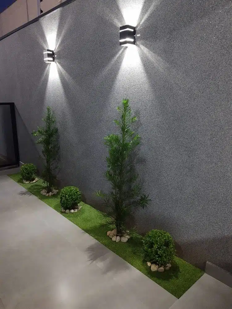 plantas para frente de muro