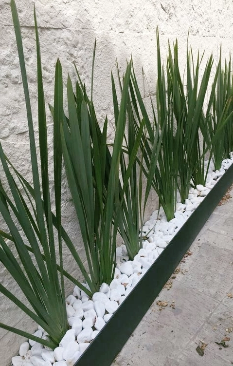 canteiro na frente de casa