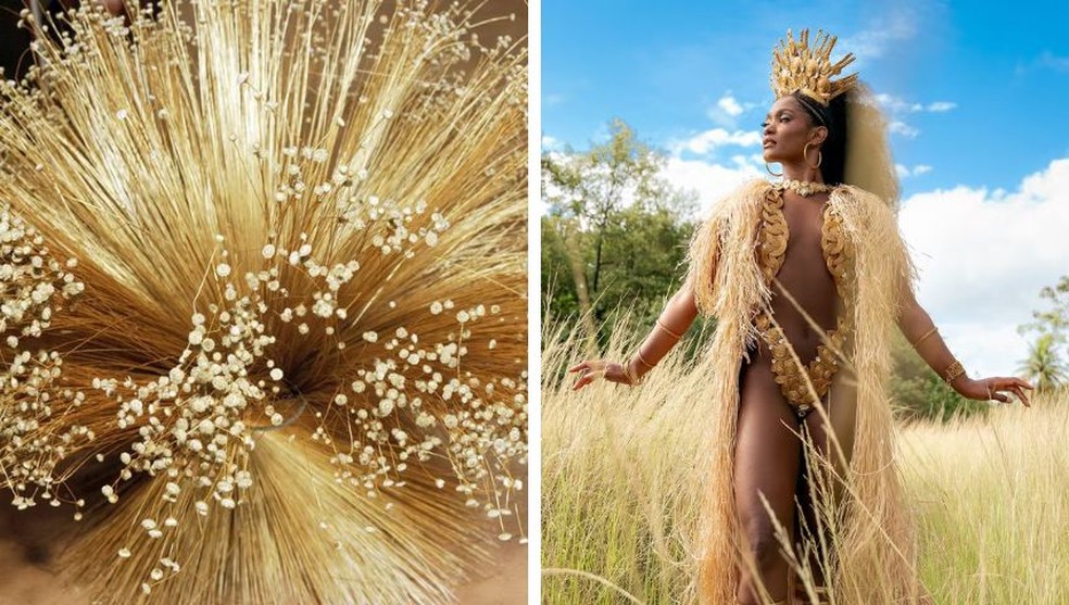 capim dourado decoração