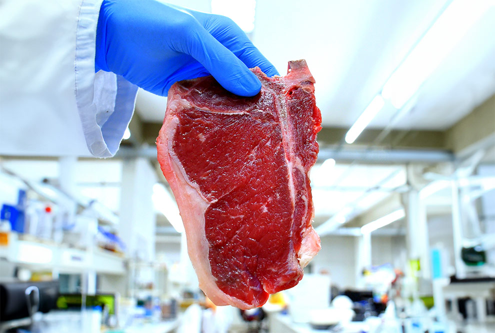Carne Cultivada: O Guia Completo sobre Como é Produzida e Seus Benefícios