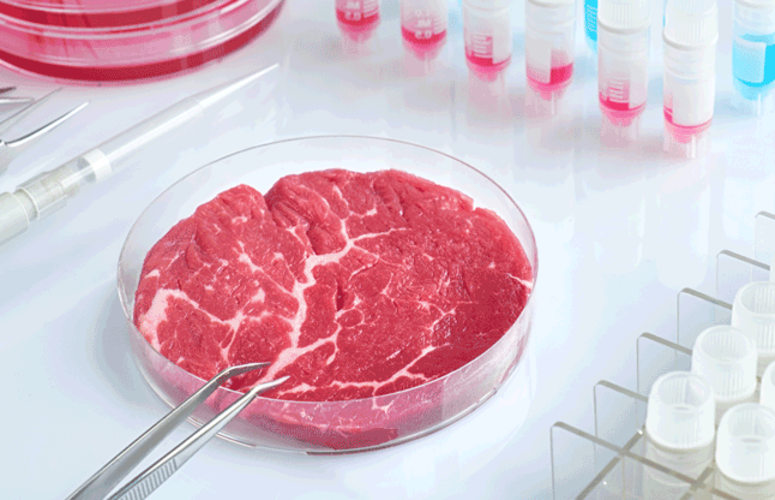Carne de Laboratório no Brasil: Onde Estamos e o Que Esperar do Futuro?