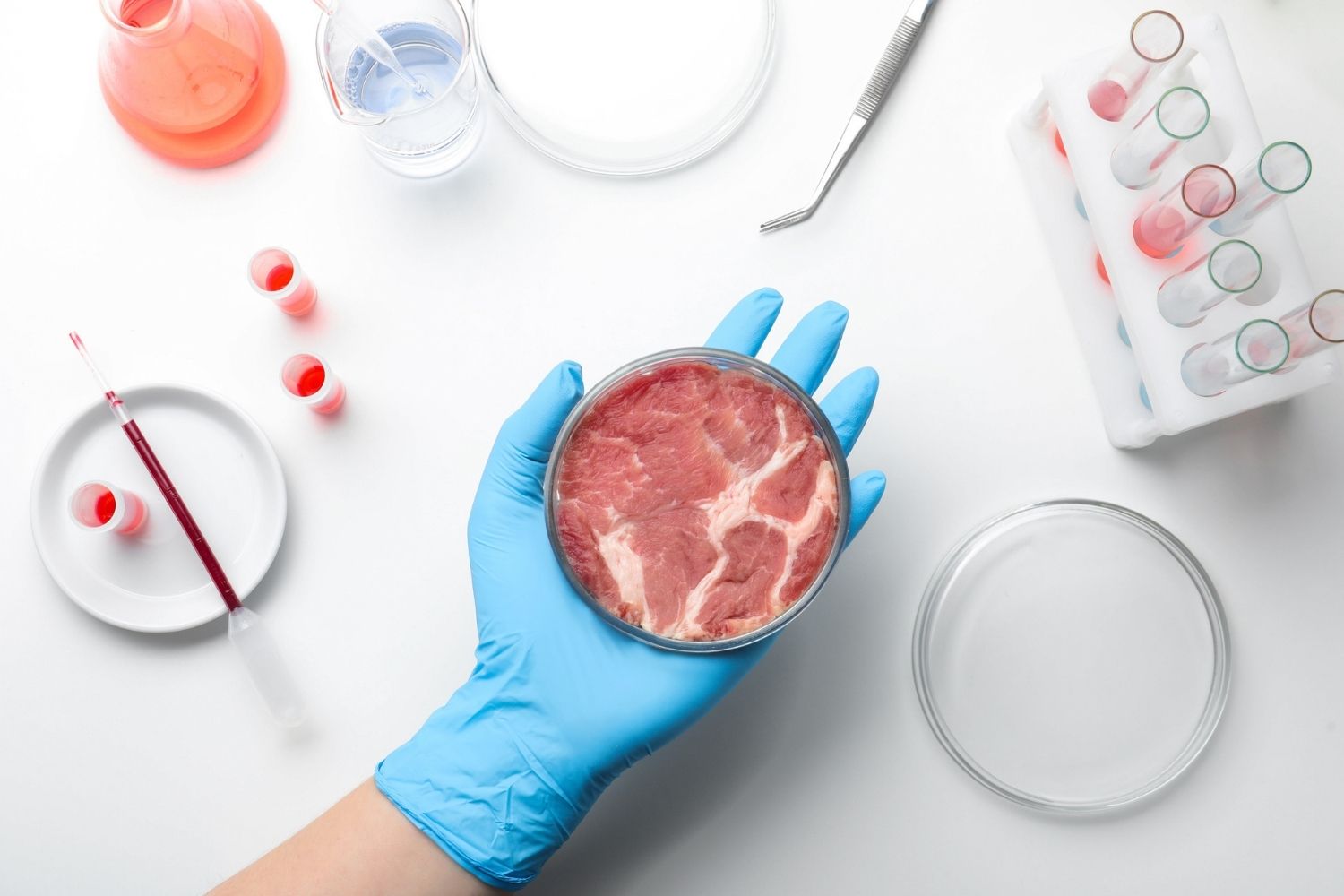 Cingapura e EUA: Os Pioneiros na Comercialização da Carne Cultivada