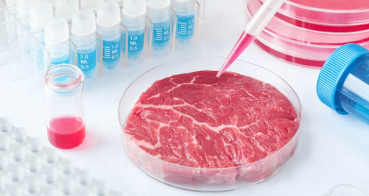 Vantagens e Desafios da Carne In Vitro: Sustentabilidade vs. Custo