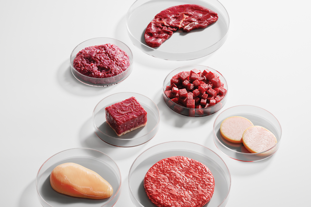 Cingapura e EUA: Os Pioneiros na Comercialização da Carne Cultivada