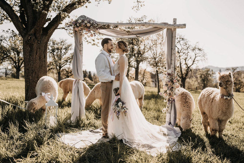ideias de decoração casamento boho barata
