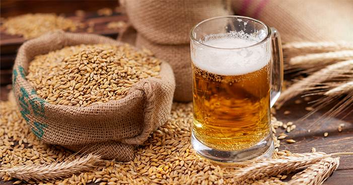 cerveja de trigo como é feita