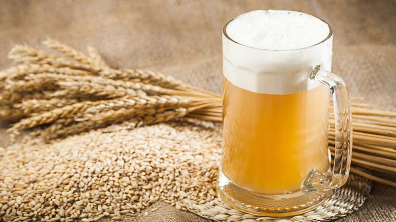 Como harmonizar cerveja de trigo com comida