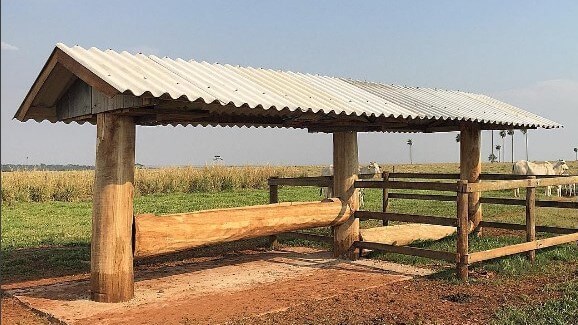 cocho para sal mineral como construir