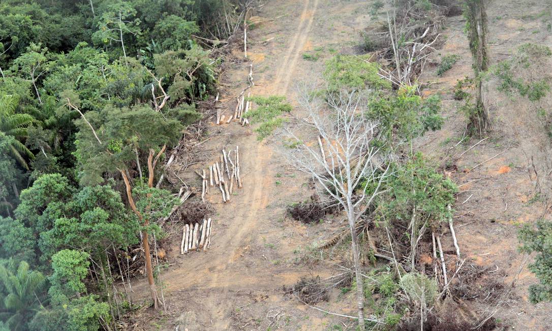 código florestal descomplicado
