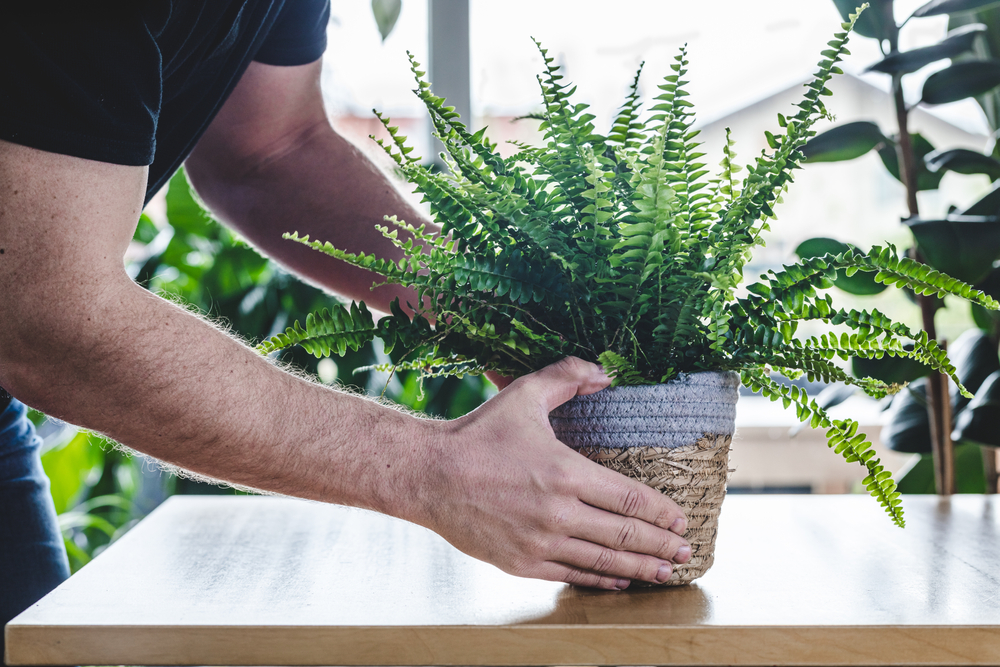 como identificar decoração cafona em casa