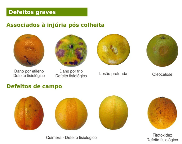 Como Identificar Laranjas Doces e Suculentas no Supermercado