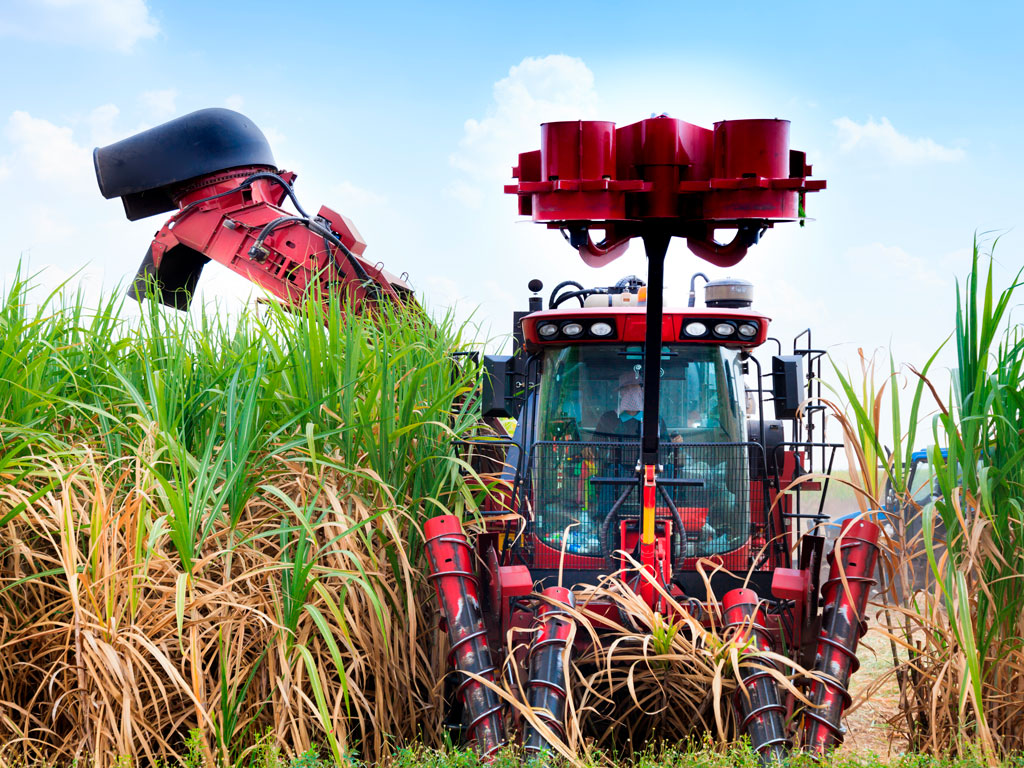 Modelos de Colhedoras de Cana: John Deere vs. Case IH