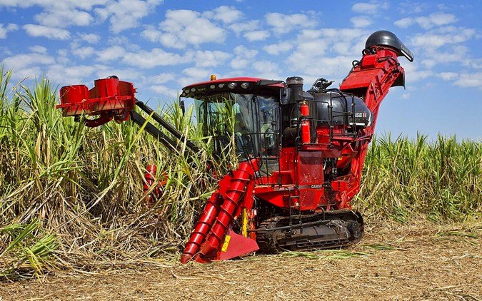 colheita mecanizada de cana-de-açúcar