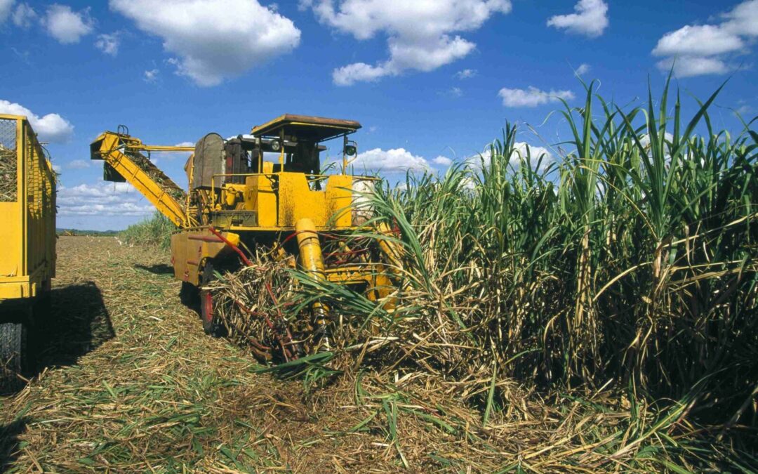 Custos de Manutenção de Colhedoras de Cana: Um Guia Completo