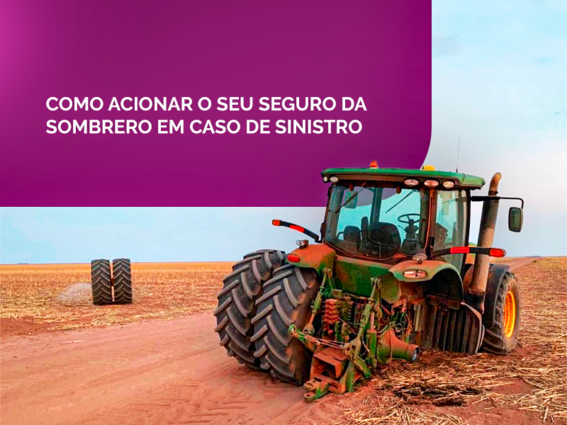 Seguro Residencial: Proteja Seu Lar - Passo a Passo para Acionar em Caso de Danos