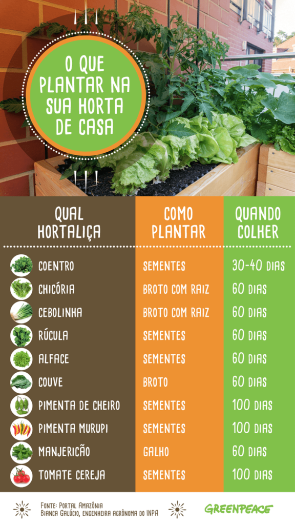 como começar uma horta em casa