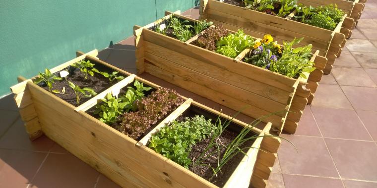 Guia Completo de Adubação Orgânica para Hortas