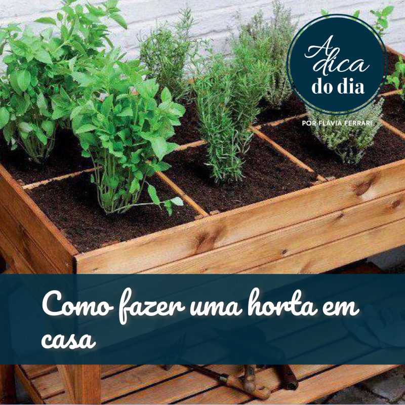 5 Tipos de Vasos Ideais para sua Horta Caseira