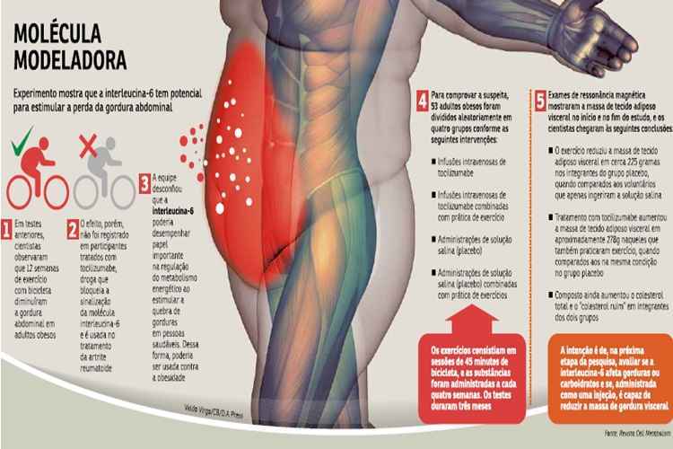 Cardápio Semanal para Reduzir Gordura Abdominal: Receitas e Dicas