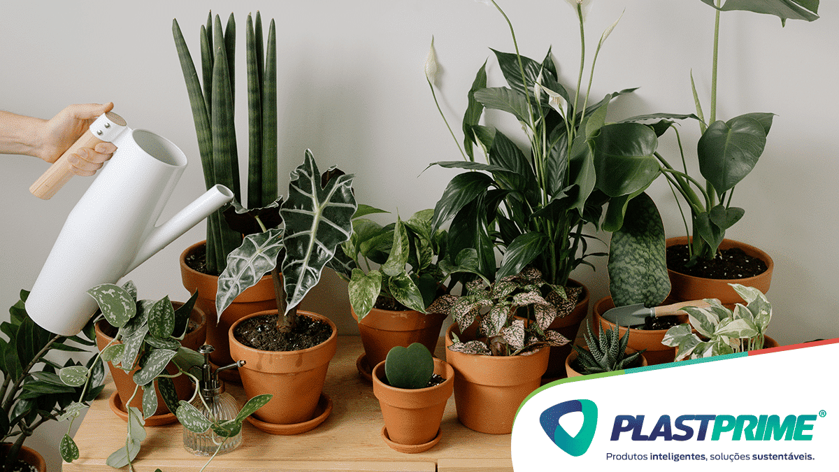 como escolher o vaso certo para cada planta