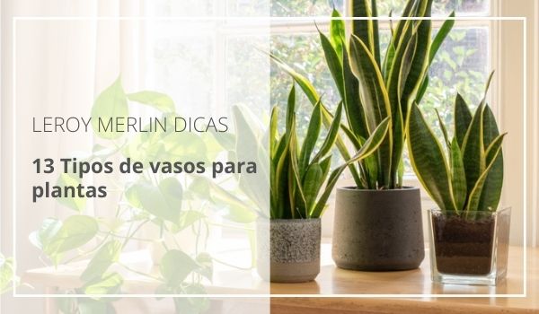 Sinais de que Sua Planta Precisa de um Vaso Novo