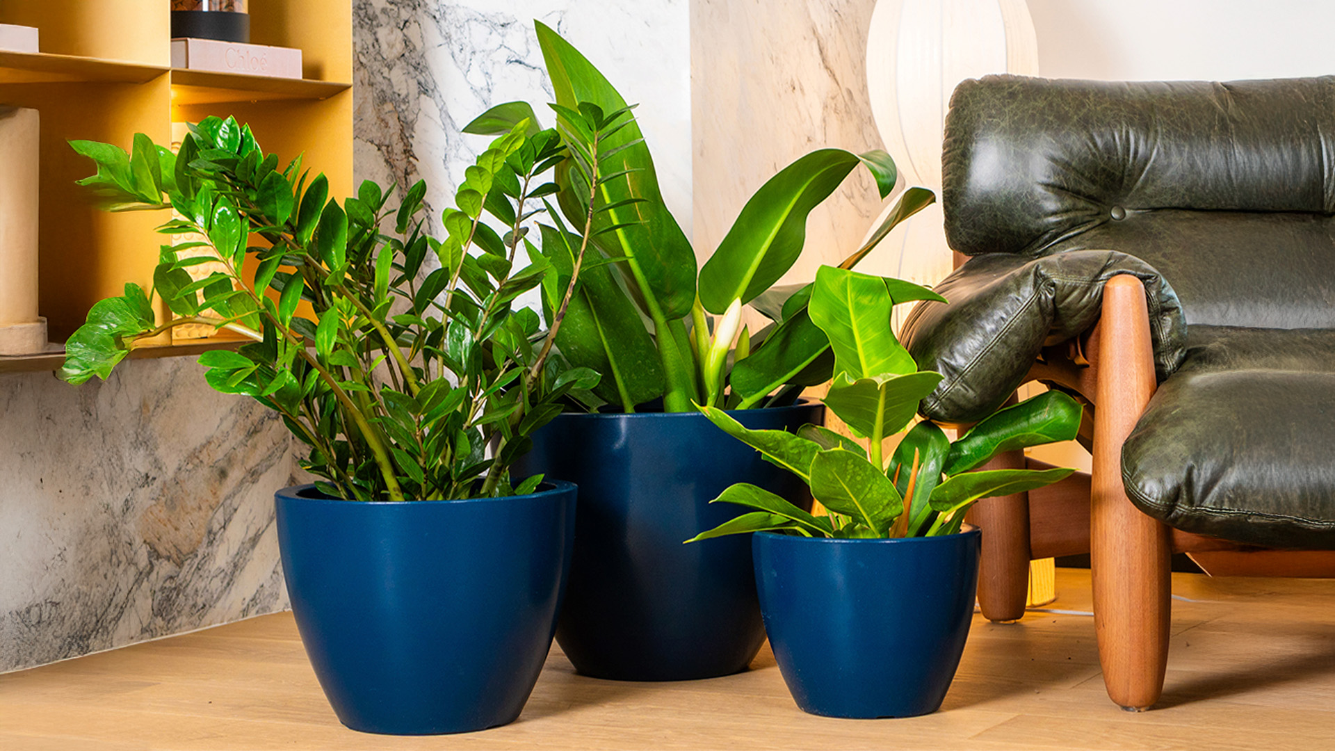 Guia Completo de Vasos para Iniciantes: Do Tamanho ao Material