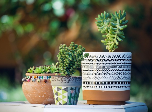 como escolher o vaso certo para cada planta