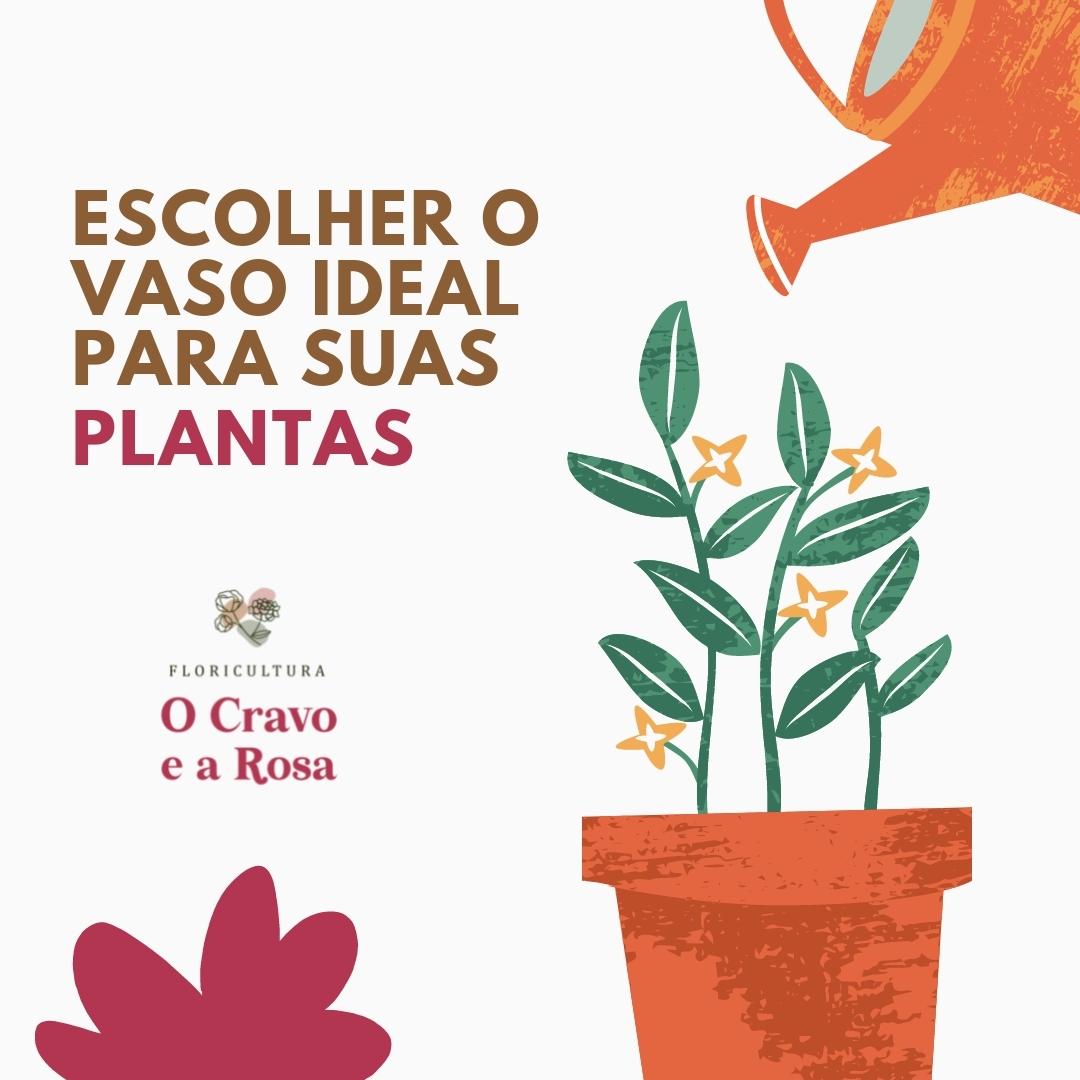 5 Materiais de Vasos para Plantas: Prós e Contras