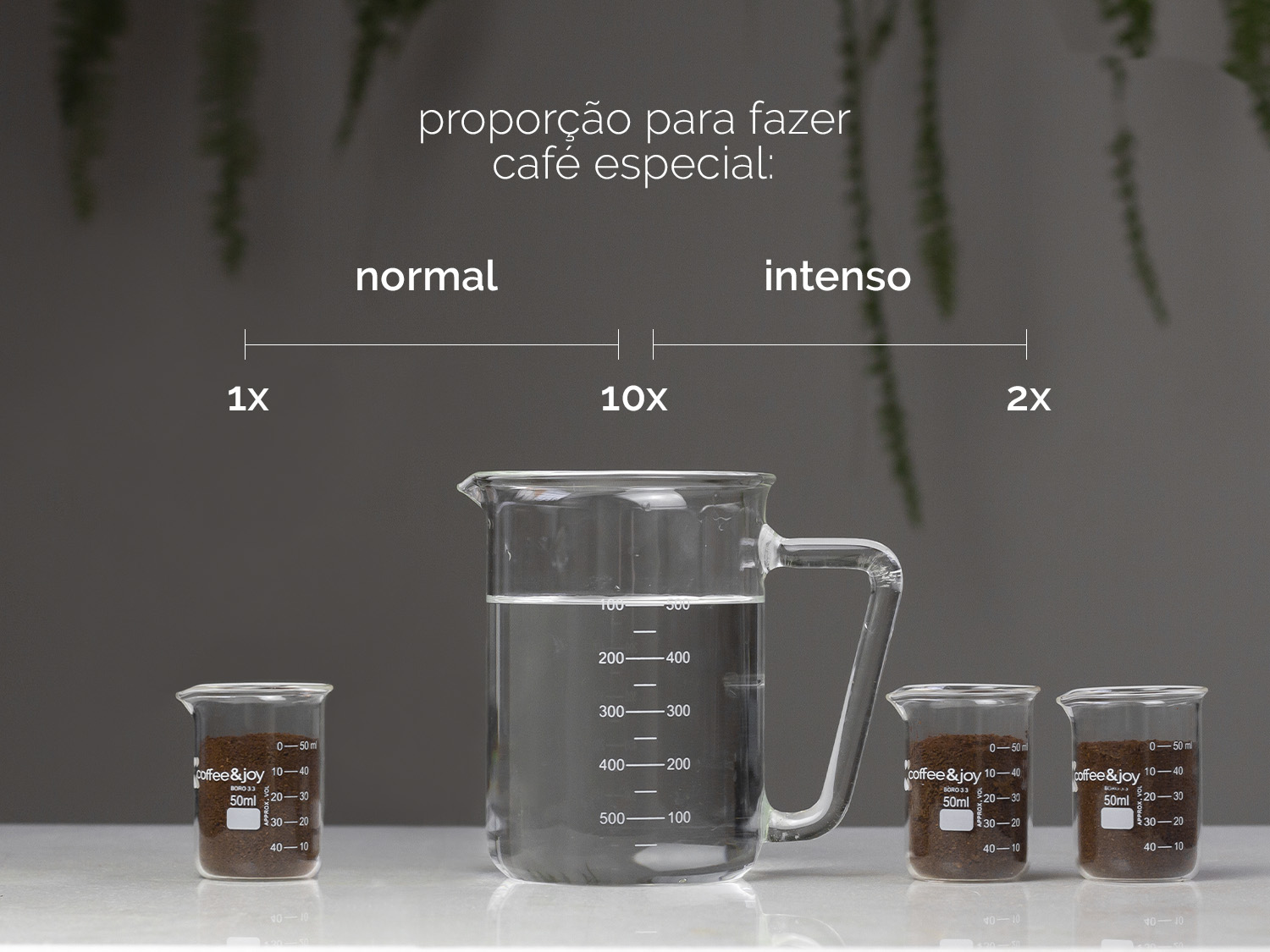 Como escolher o grão de café ideal