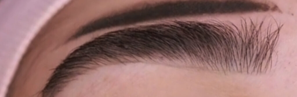 Marketing de Afiliados para iniciantes: como gerar comissões altas