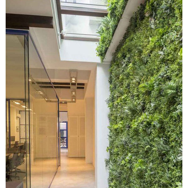 erros comuns jardim vertical interno