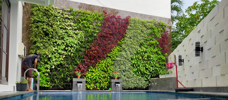 jardim vertical natural ou artificial para ambientes internos