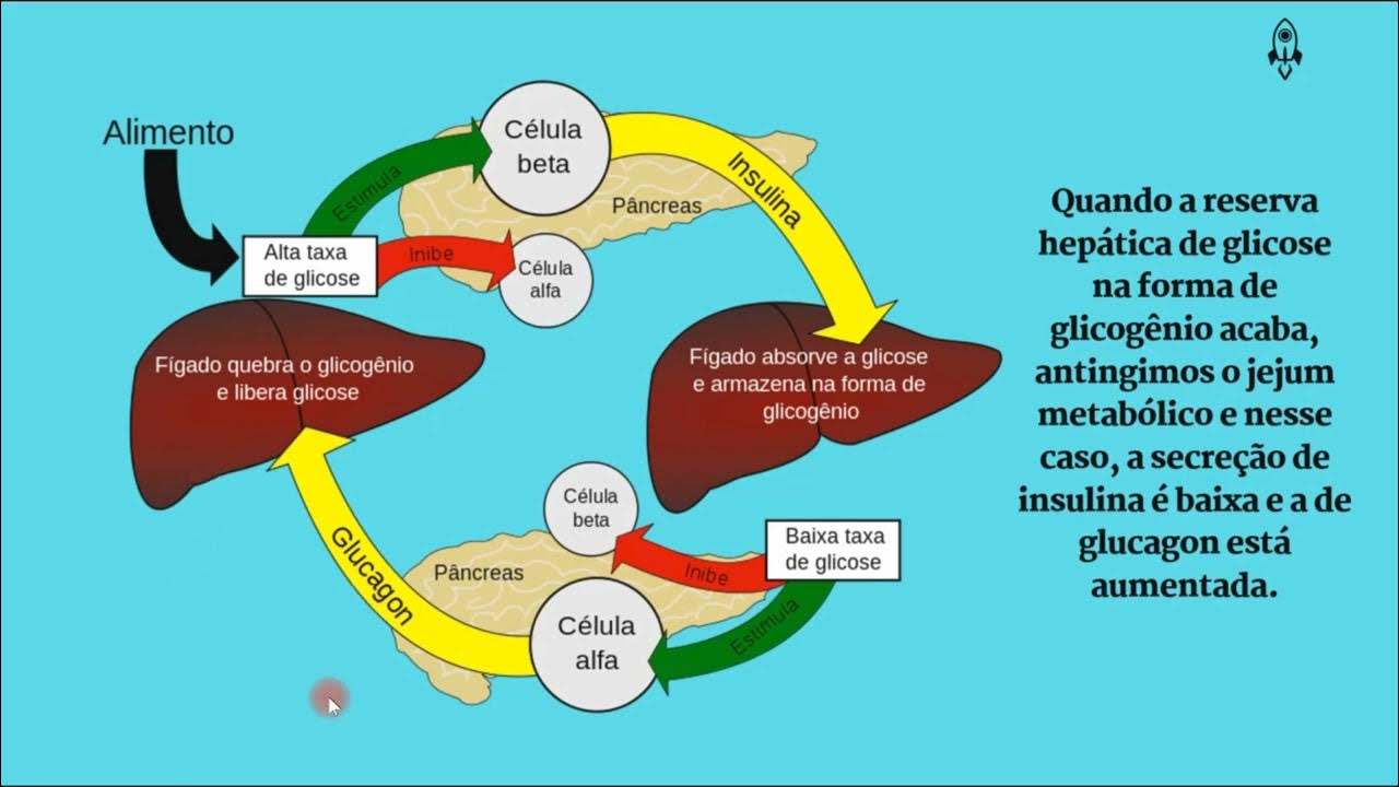 como fazer jejum metabólico