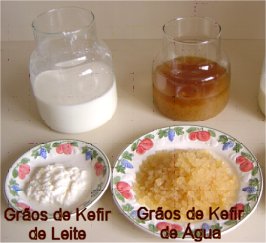 Benefícios do Kefir de Água para a Saúde Intestinal