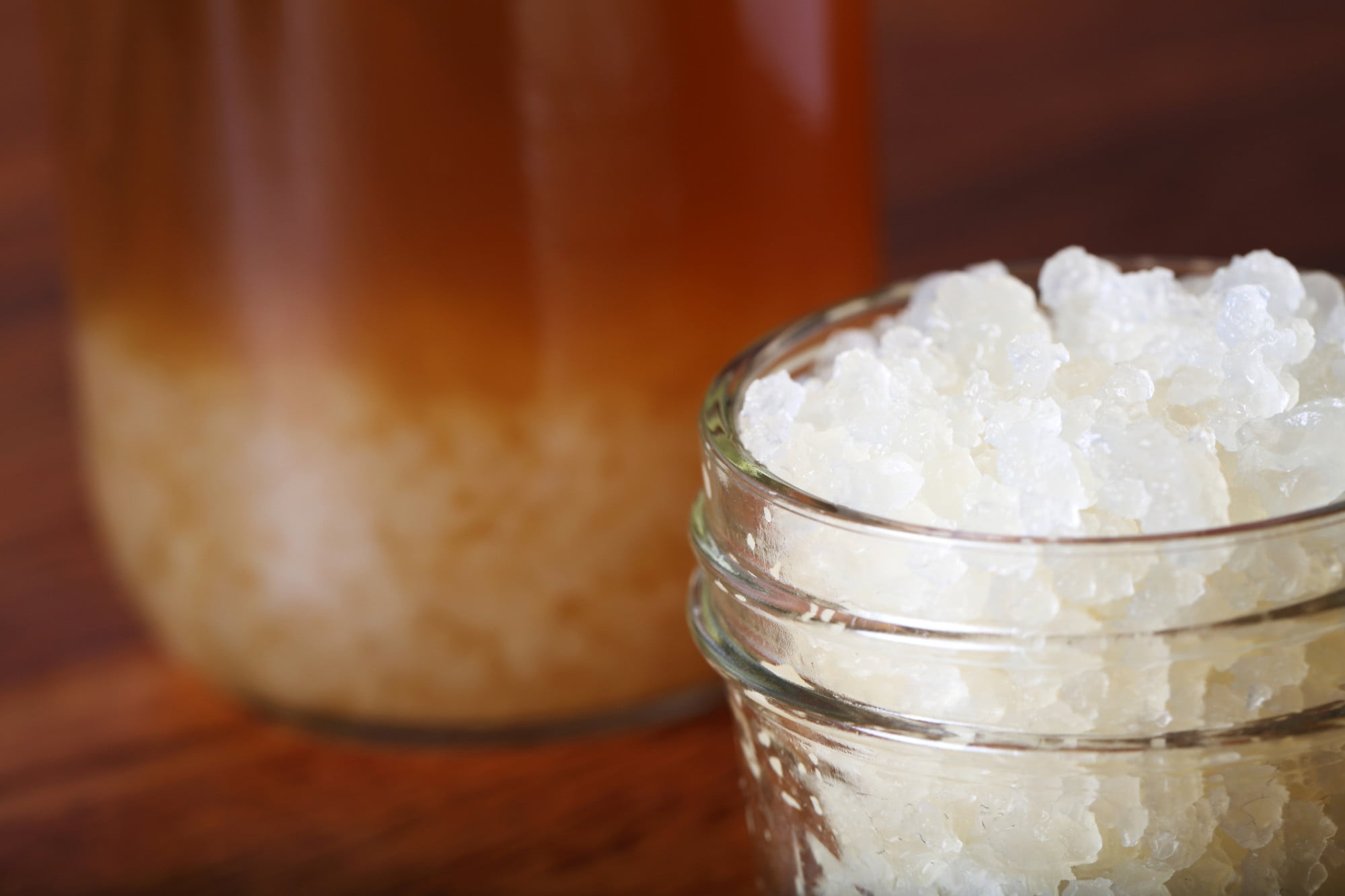 Kefir de Água vs. Kefir de Leite: Qual a Diferença?