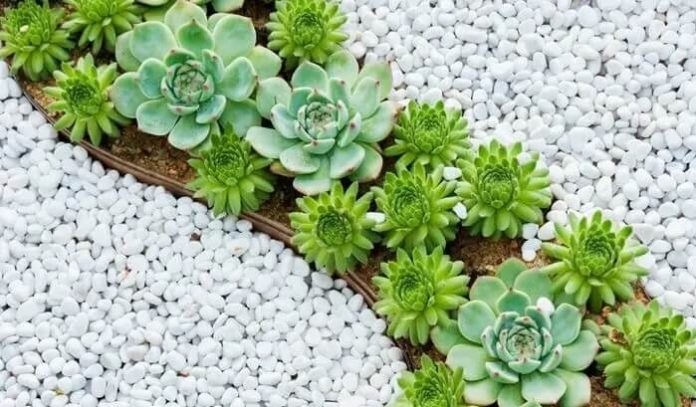Como escolher as pedras decorativas perfeitas para seu jardim
